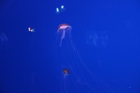 img_0182.jpg